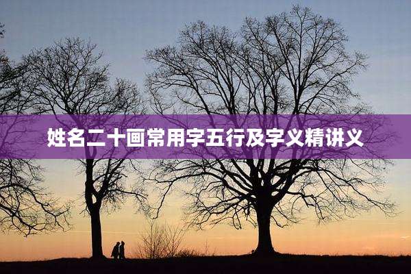 姓名二十画常用字五行及字义精讲义
