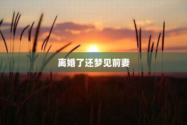 离婚了还梦见前妻