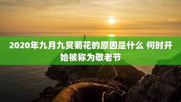 2020年九月九赏菊花的原因是什么 何时开始被称为敬老节