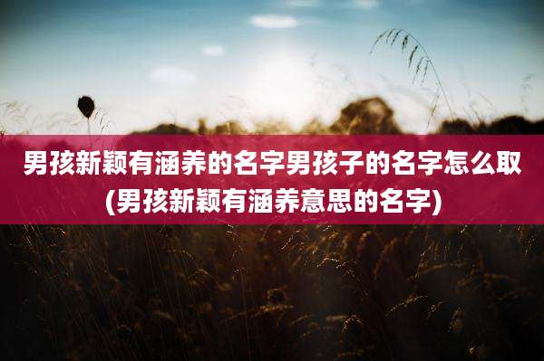 男孩新颖有涵养的名字男孩子的名字怎么取(男孩新颖有涵养意思的名字)