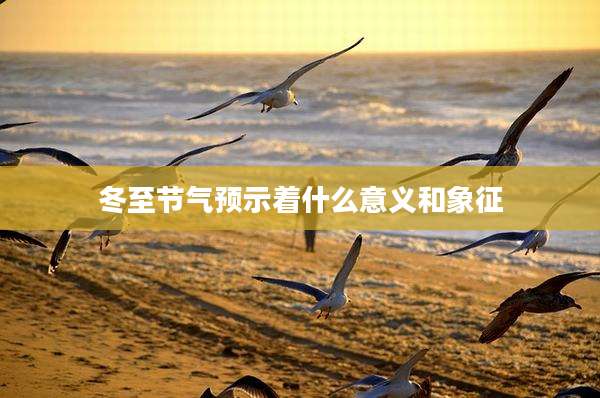 冬至节气预示着什么意义和象征