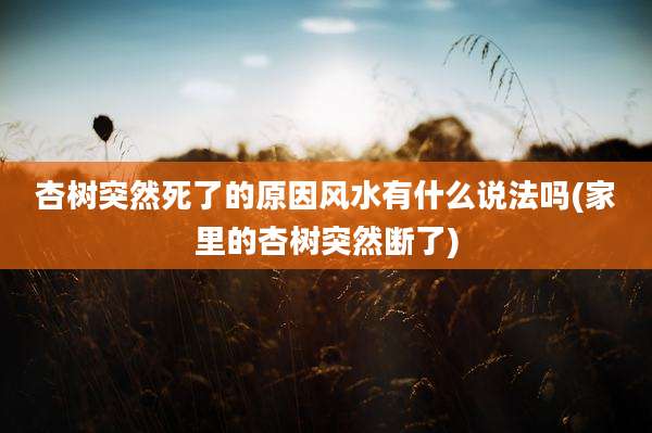杏树突然死了的原因风水有什么说法吗(家里的杏树突然断了)