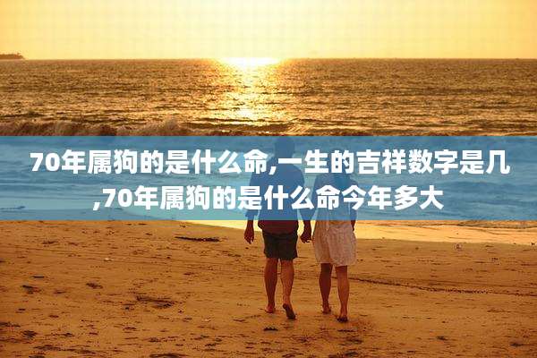 70年属狗的是什么命,一生的吉祥数字是几,70年属狗的是什么命今年多大