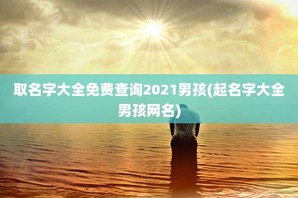 取名字大全免费查询2021男孩(起名字大全男孩网名)