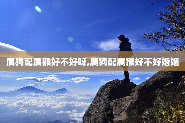 属狗配属猴好不好呀,属狗配属猴好不好婚姻