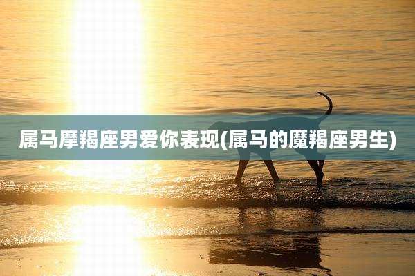 属马摩羯座男爱你表现(属马的魔羯座男生)