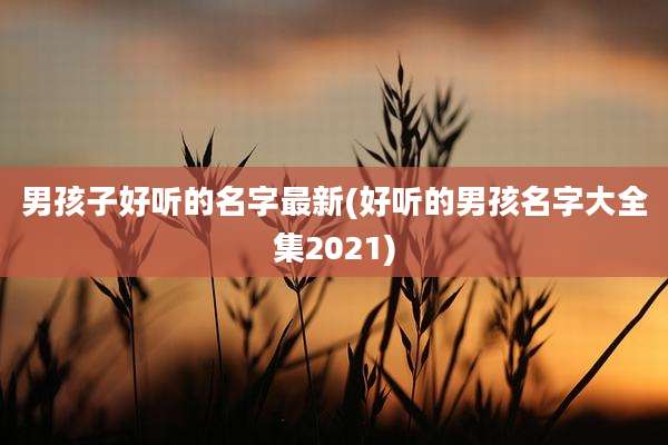 男孩子好听的名字最新(好听的男孩名字大全集2021)