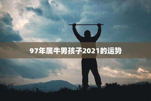 97年属牛男孩子2021的运势