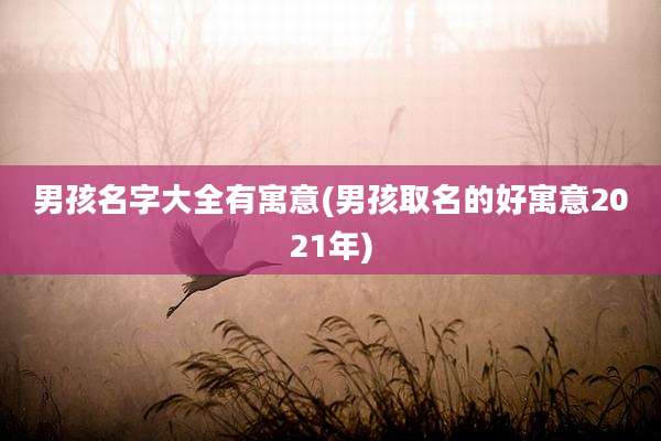 男孩名字大全有寓意(男孩取名的好寓意2021年)