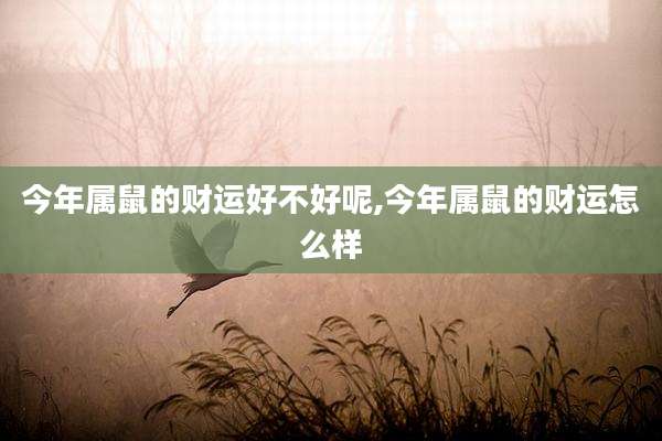 今年属鼠的财运好不好呢,今年属鼠的财运怎么样