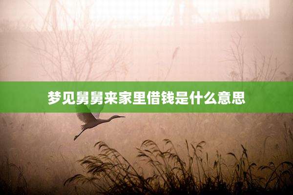 梦见舅舅来家里借钱是什么意思