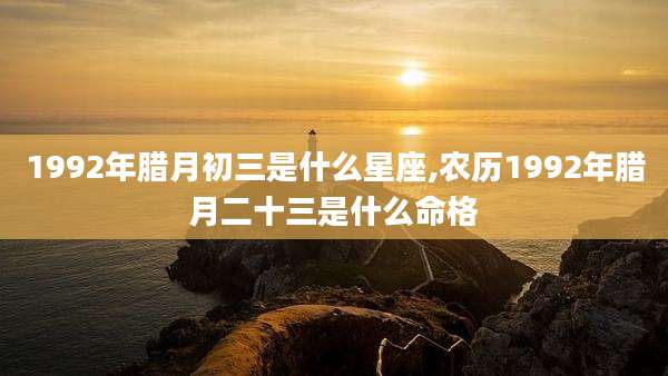1992年腊月初三是什么星座,农历1992年腊月二十三是什么命格