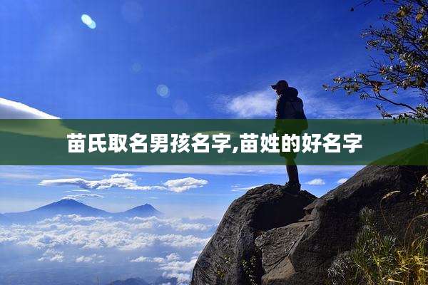 苗氏取名男孩名字,苗姓的好名字