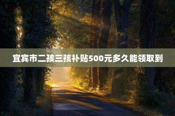 宜宾市二孩三孩补贴500元多久能领取到