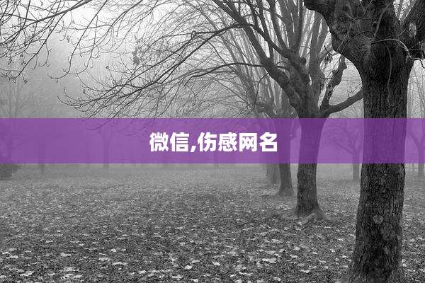 微信,伤感网名