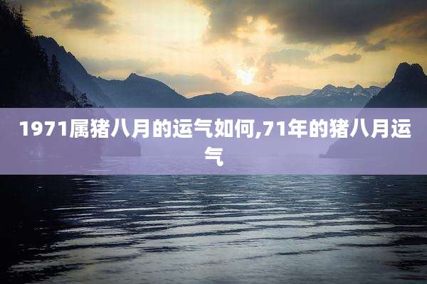 1971属猪八月的运气如何,71年的猪八月运气