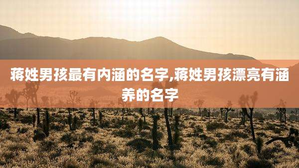 蒋姓男孩最有内涵的名字,蒋姓男孩漂亮有涵养的名字