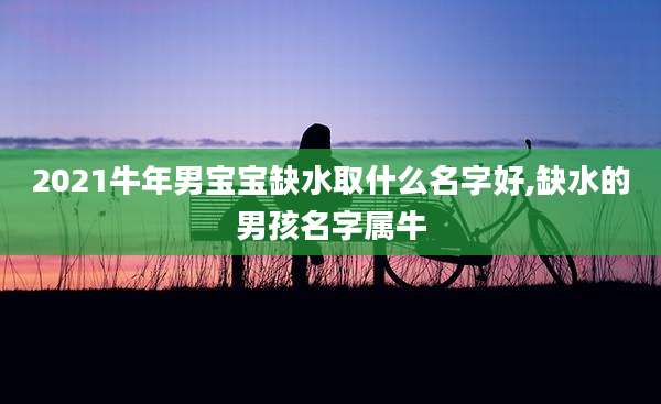2021牛年男宝宝缺水取什么名字好,缺水的男孩名字属牛