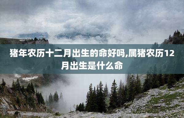 猪年农历十二月出生的命好吗,属猪农历12月出生是什么命