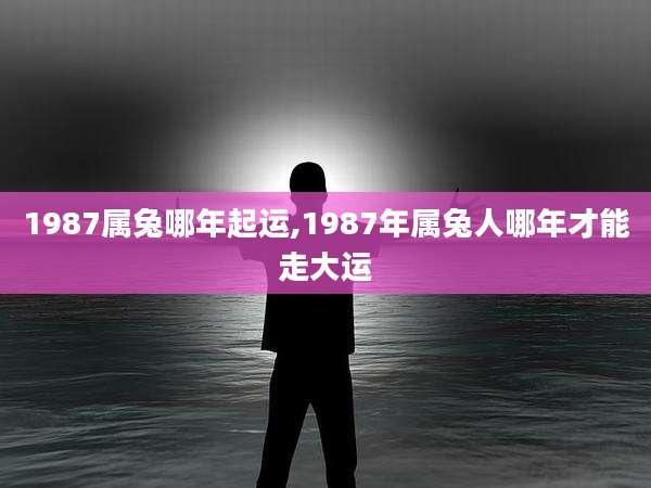 1987属兔哪年起运,1987年属兔人哪年才能走大运