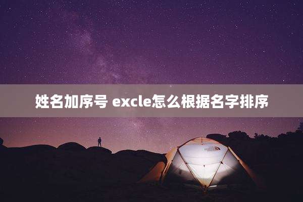 姓名加序号 excle怎么根据名字排序