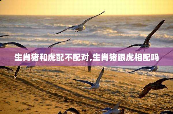 生肖猪和虎配不配对,生肖猪跟虎相配吗