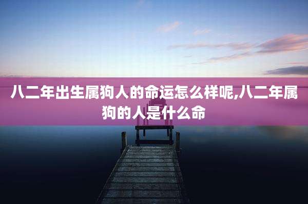 八二年出生属狗人的命运怎么样呢,八二年属狗的人是什么命