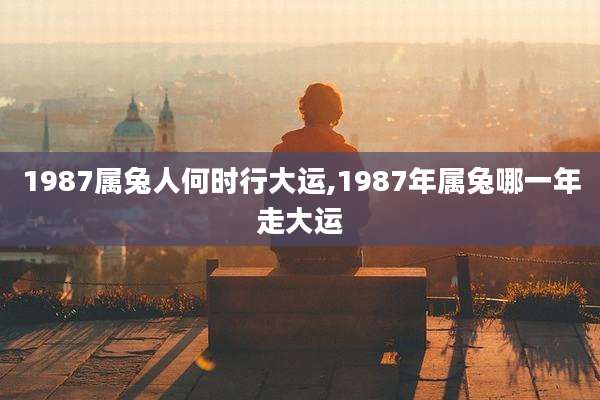 1987属兔人何时行大运,1987年属兔哪一年走大运