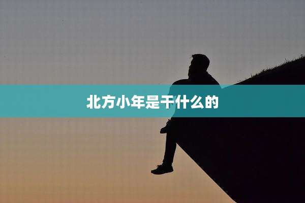 北方小年是干什么的