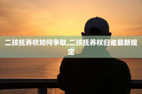 二孩抚养权如何争取,二孩抚养权归谁最新规定