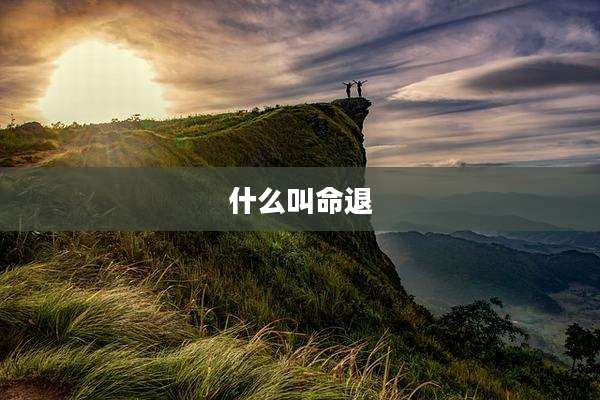什么叫命退