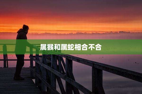 属猴和属蛇相合不合