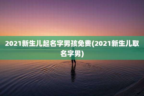 2021新生儿起名字男孩免费(2021新生儿取名字男)