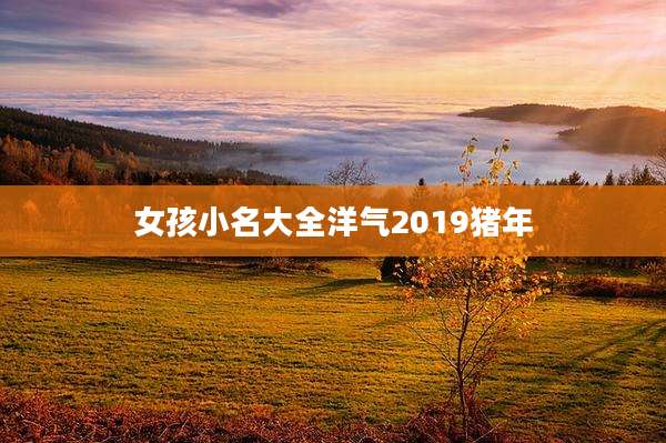 女孩小名大全洋气2019猪年