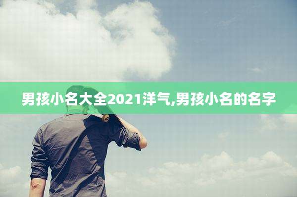 男孩小名大全2021洋气,男孩小名的名字