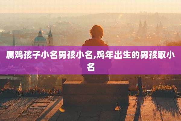 属鸡孩子小名男孩小名,鸡年出生的男孩取小名