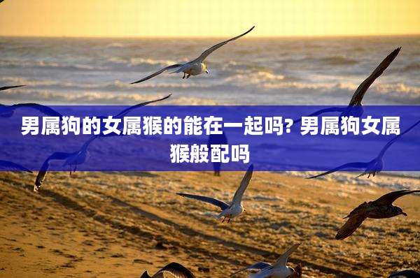 男属狗的女属猴的能在一起吗? 男属狗女属猴般配吗