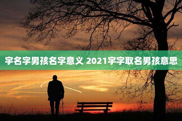 宇名字男孩名字意义 2021宇字取名男孩意思