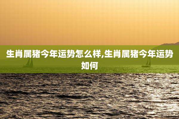 生肖属猪今年运势怎么样,生肖属猪今年运势如何