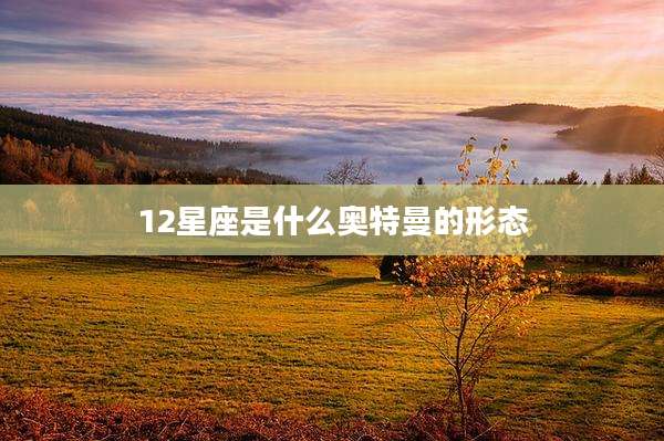 12星座是什么奥特曼的形态
