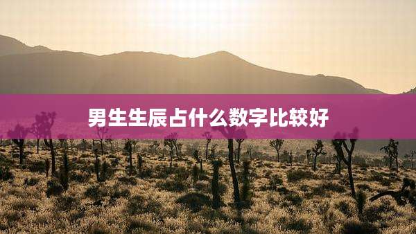 男生生辰占什么数字比较好