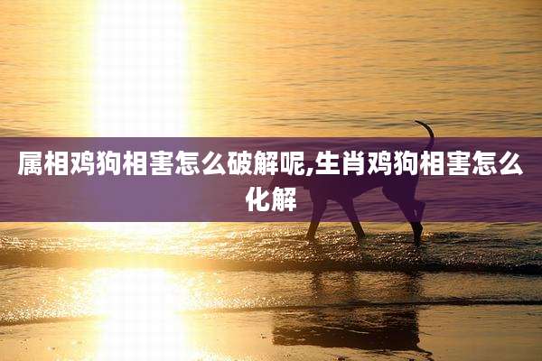 属相鸡狗相害怎么破解呢,生肖鸡狗相害怎么化解