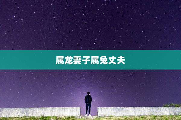 属龙妻子属兔丈夫