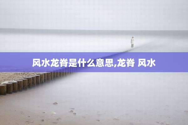 风水龙脊是什么意思,龙脊 风水