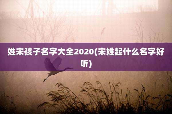 姓宋孩子名字大全2020(宋姓起什么名字好听)