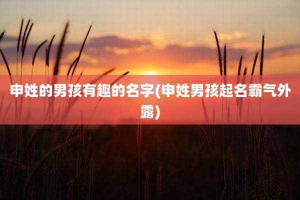 申姓的男孩有趣的名字(申姓男孩起名霸气外露)