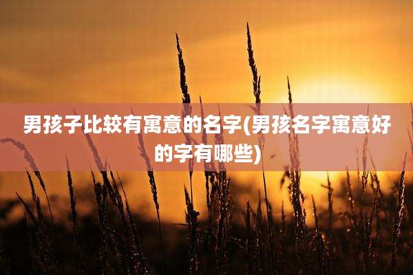 男孩子比较有寓意的名字(男孩名字寓意好的字有哪些)
