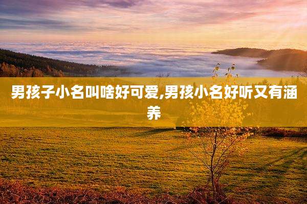 男孩子小名叫啥好可爱,男孩小名好听又有涵养