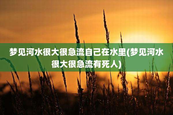 梦见河水很大很急流自己在水里(梦见河水很大很急流有死人)