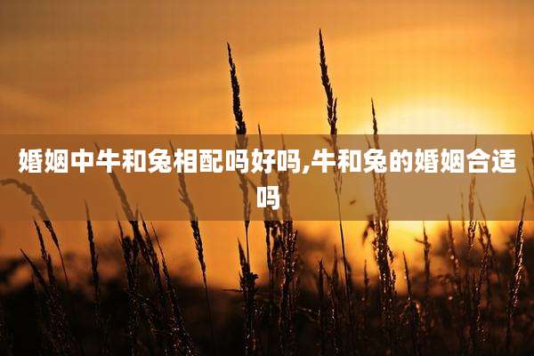 婚姻中牛和兔相配吗好吗,牛和兔的婚姻合适吗